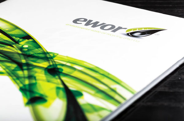 EWOR brochure